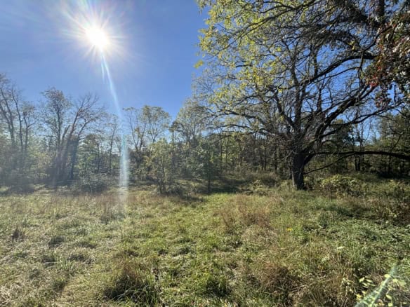Cass County – 1.31 Acres