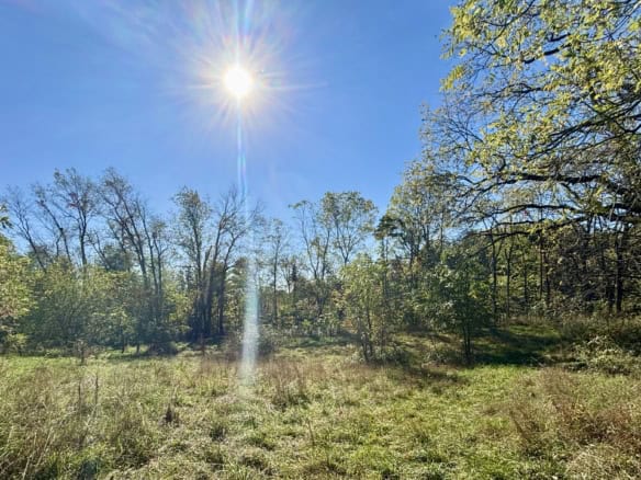 Cass County – 1.31 Acres