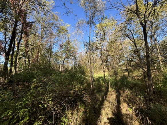 Cass County – 1.31 Acres