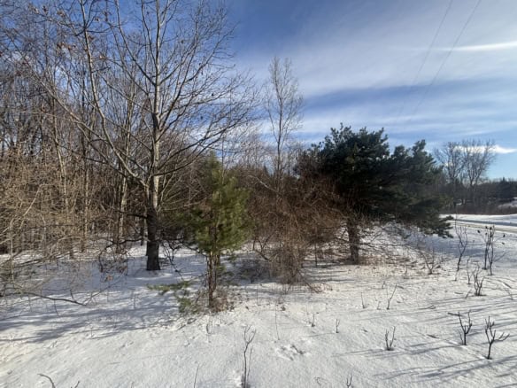 Mason County – 2.67 Acres