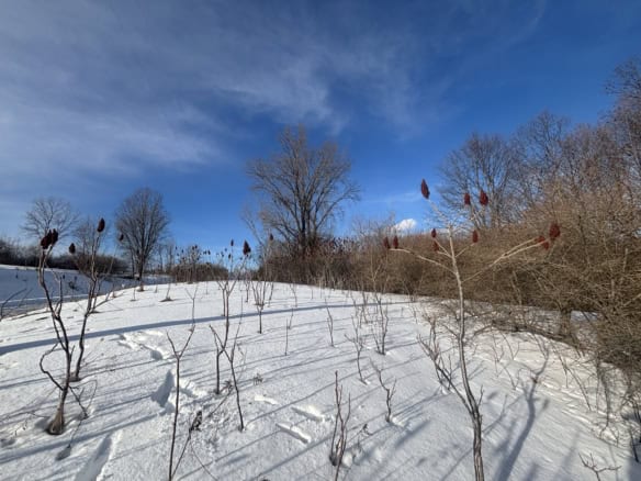 Mason County – 2.67 Acres