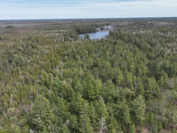 Chippewa County-280 Acres