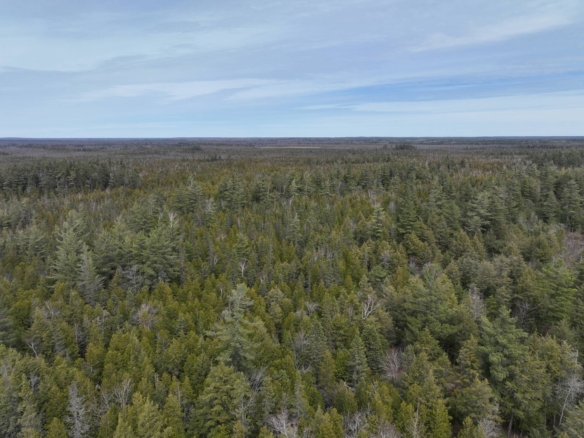 Chippewa County-280 Acres