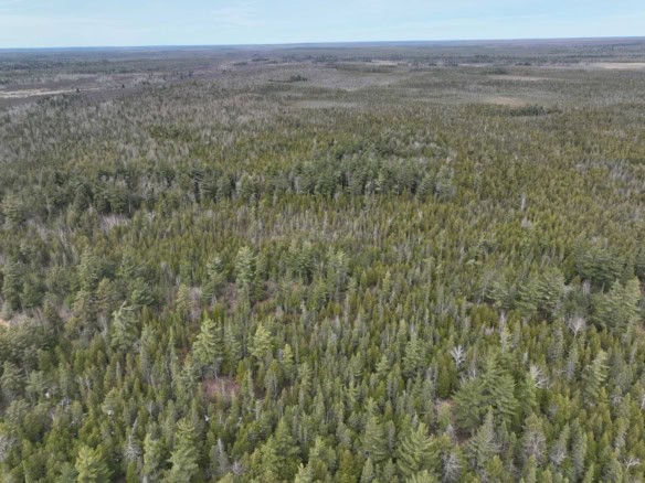 Chippewa County-280 Acres