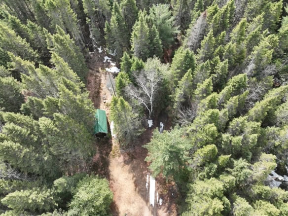 Chippewa County – 87 Acres