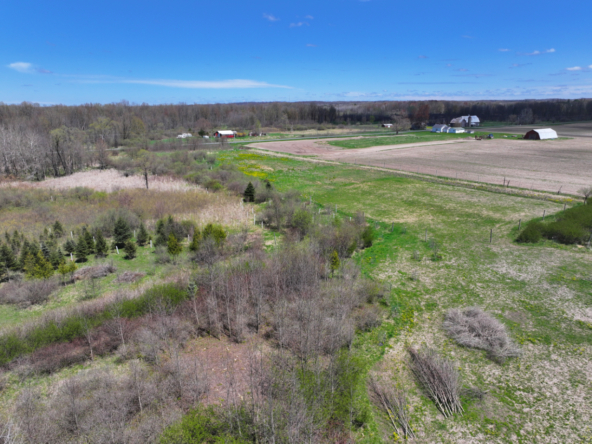 DJI_20250505133829_0466_D