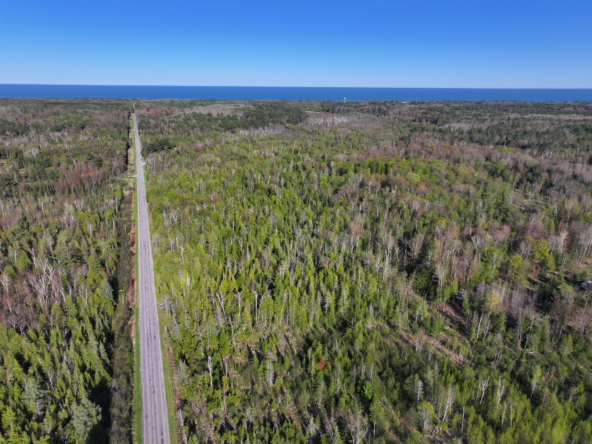DJI_20250519184309_0507_D