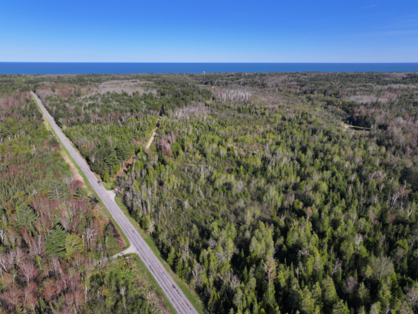 DJI_20250519184457_0523_D
