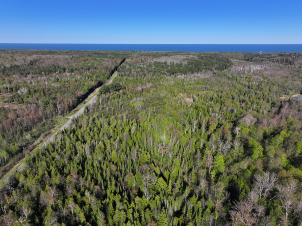 DJI_20250519184516_0525_D