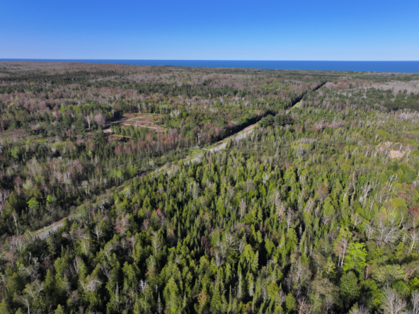 DJI_20250519184520_0526_D