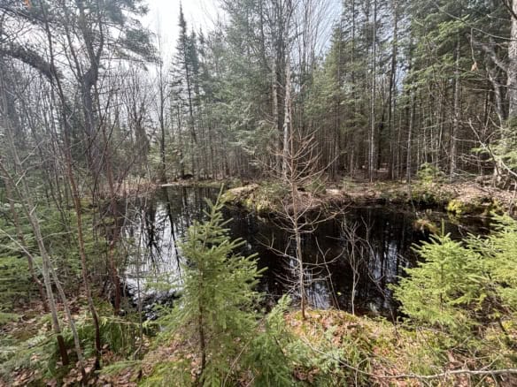 Chippewa County – 87 Acres