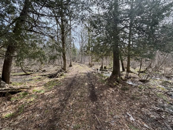 Chippewa County – 87 Acres