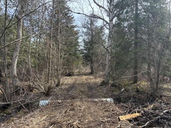 Chippewa County – 87 Acres
