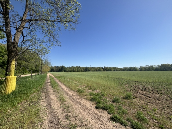 TIMG_7029
