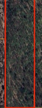 Aerial Close - Bunch