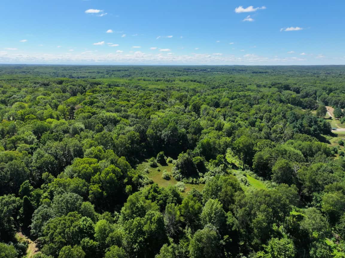 Mason County – 10.45 Acres