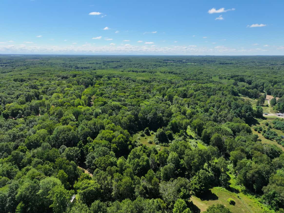 Mason County – 10.45 Acres