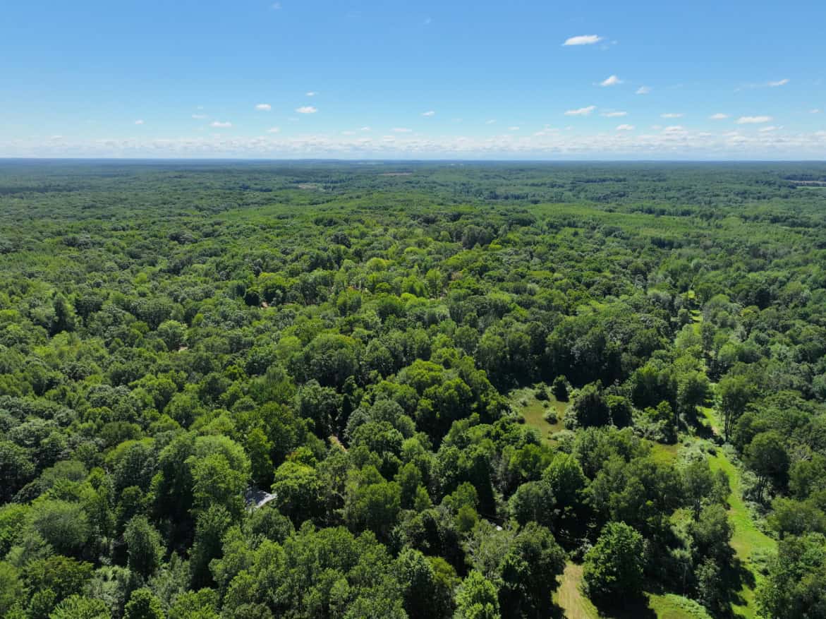 Mason County – 10.45 Acres