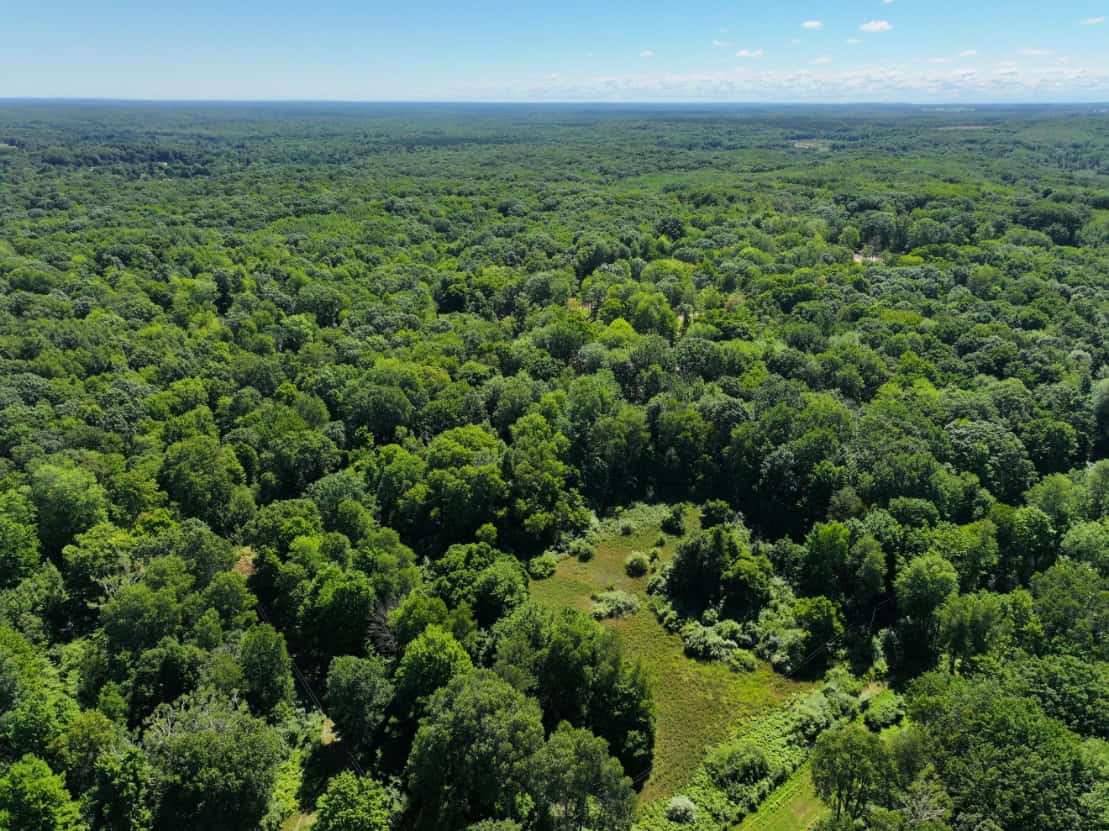 Mason County – 10.45 Acres