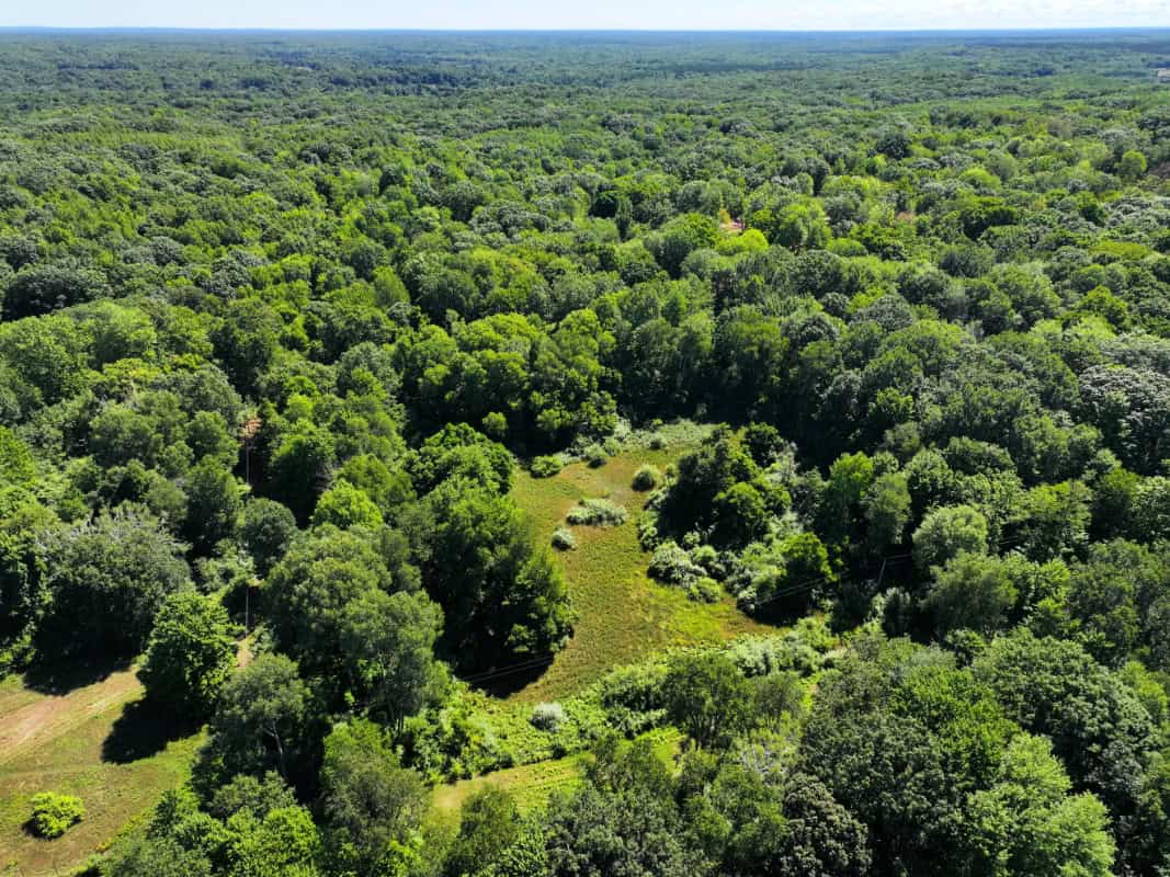 Mason County – 10.45 Acres