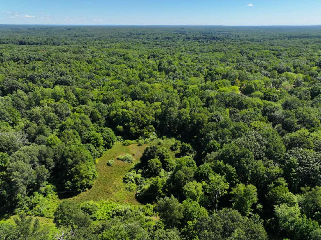 Mason County – 10.45 Acres