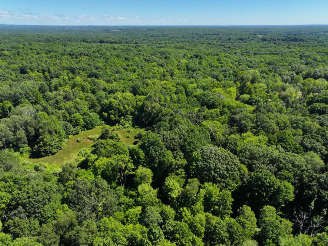 Mason County – 10.45 Acres