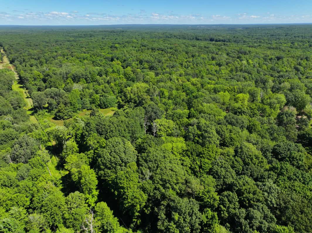 Mason County – 10.45 Acres