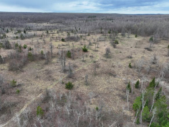 Otsego County – 15+/- Acres