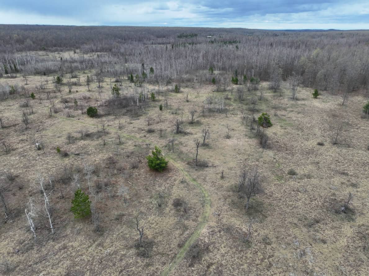Otsego County – 15+/- Acres