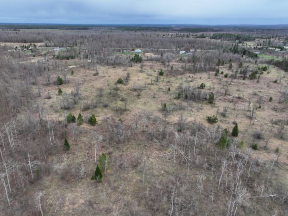 Otsego County – 15+/- Acres