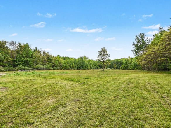 43.5+/- Acres – Allegan County