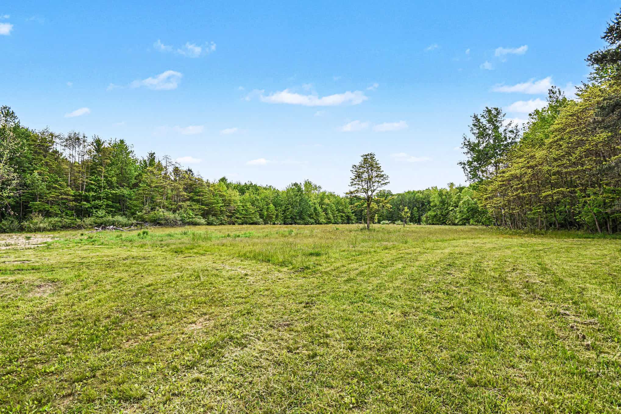 43.5+/- Acres – Allegan County