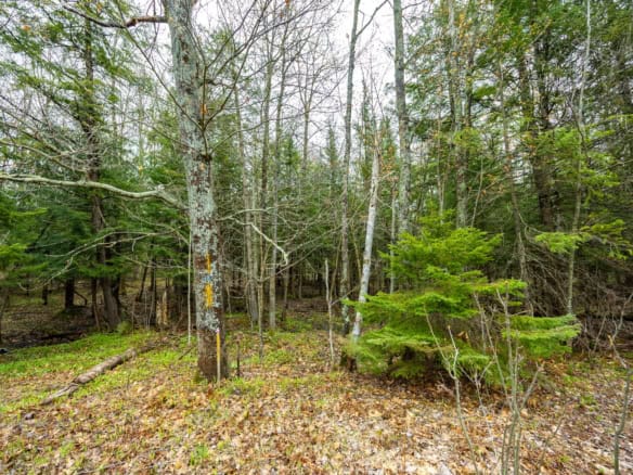 Houghton County – 5 Acres