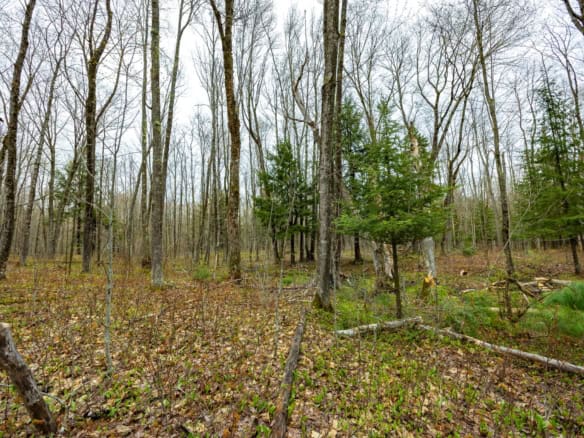 Houghton County – 5 Acres