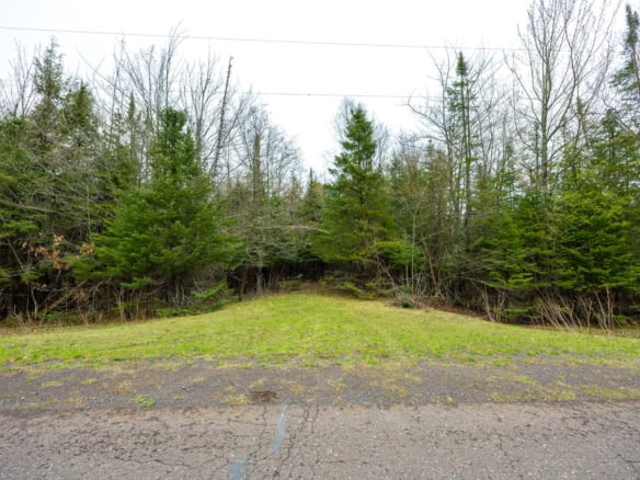 Houghton County – 5 Acres