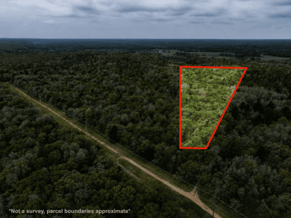 12.19 Acres – Newaygo County