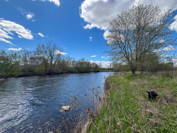 Midland County – 140+/- Acres