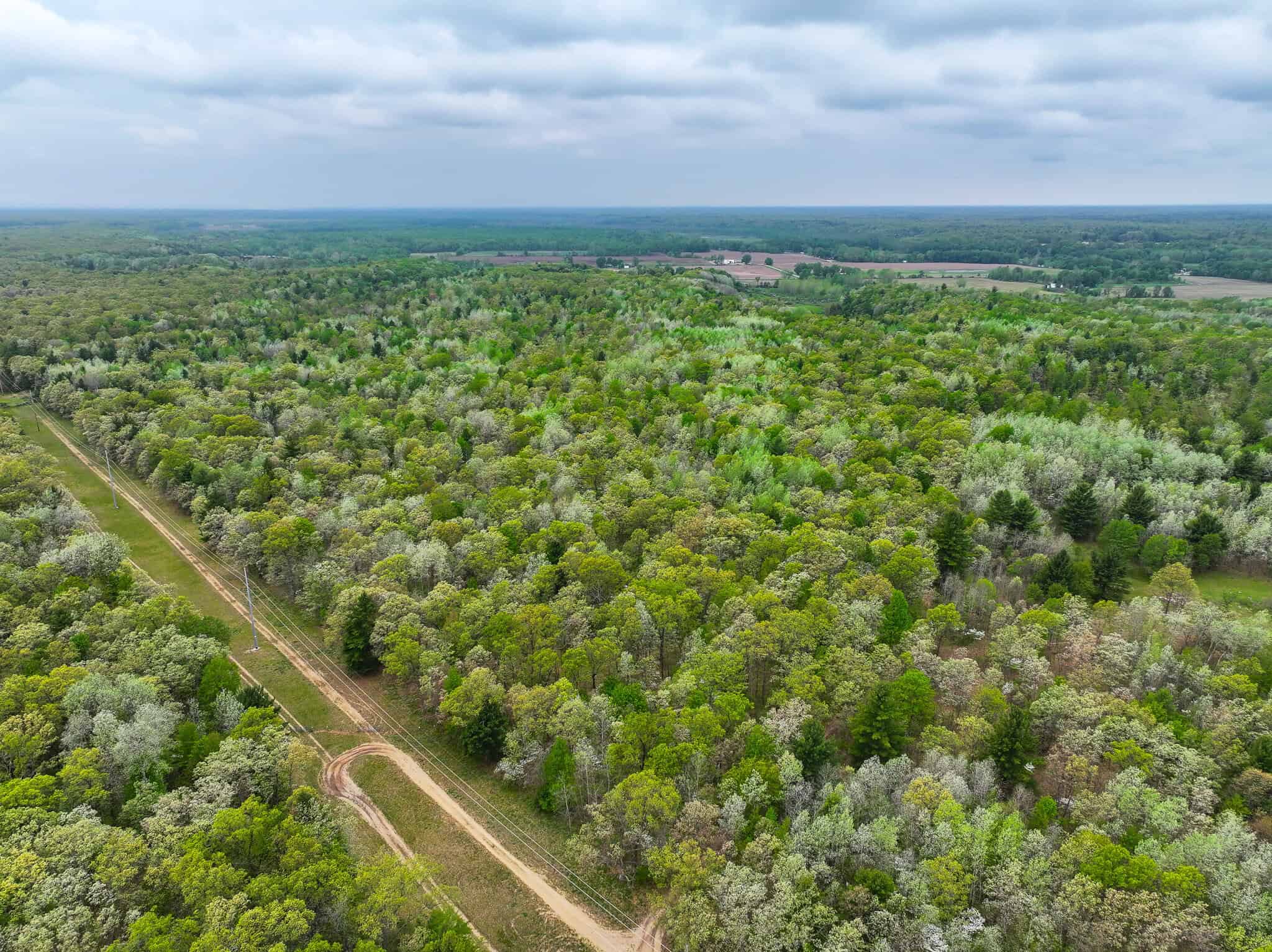12.19 Acres – Newaygo County