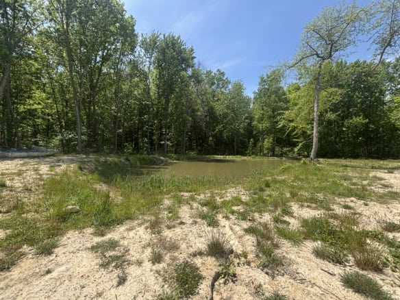 43.5+/- Acres – Allegan County