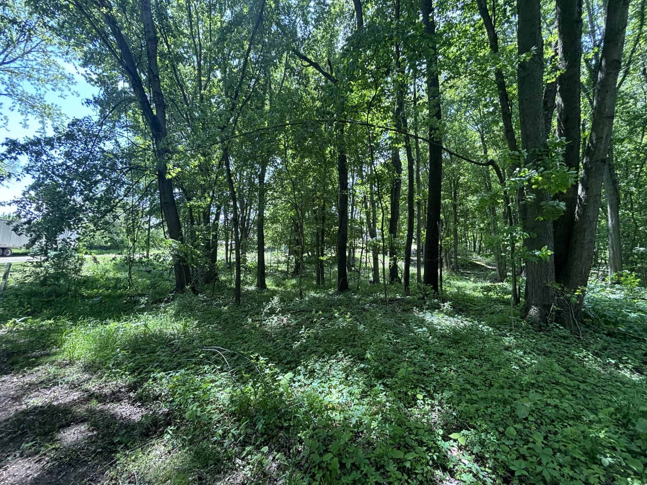 43.5+/- Acres – Allegan County
