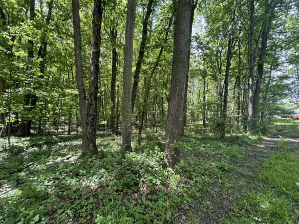 43.5+/- Acres – Allegan County
