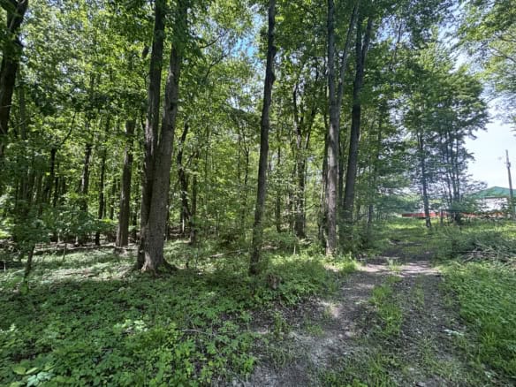 43.5+/- Acres – Allegan County