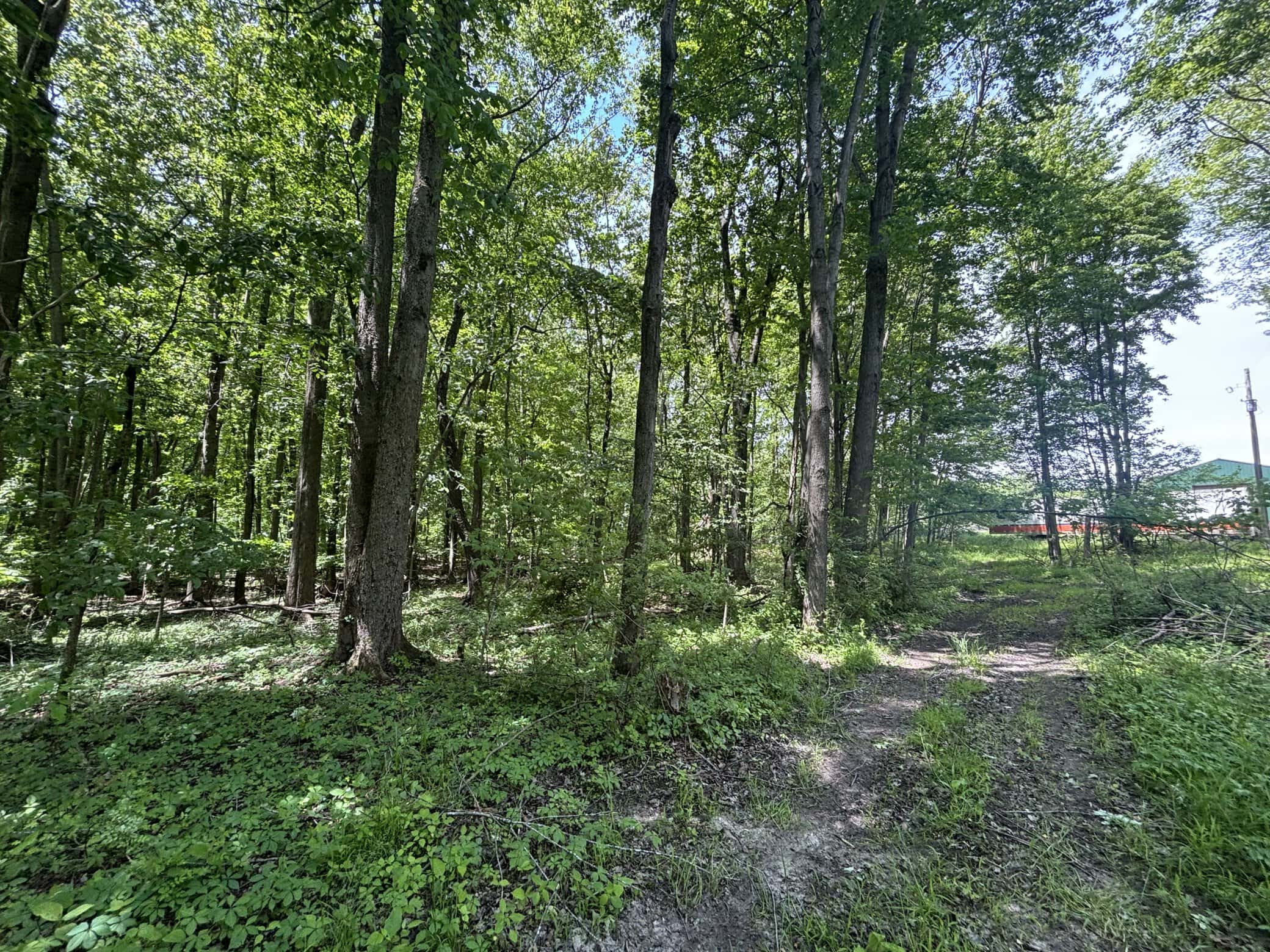 43.5+/- Acres – Allegan County