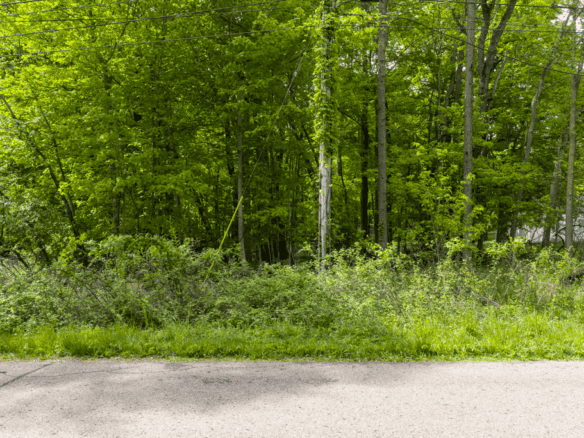 .78 +/- Acres – Allegan County