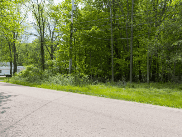 .78 +/- Acres – Allegan County