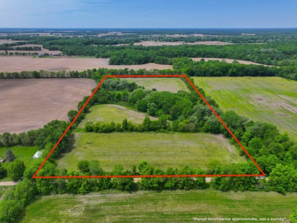 Calhoun County – 20+/- Acres