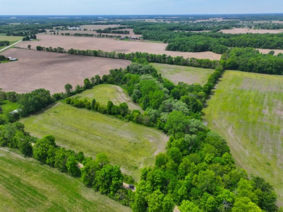 Calhoun County – 20+/- Acres