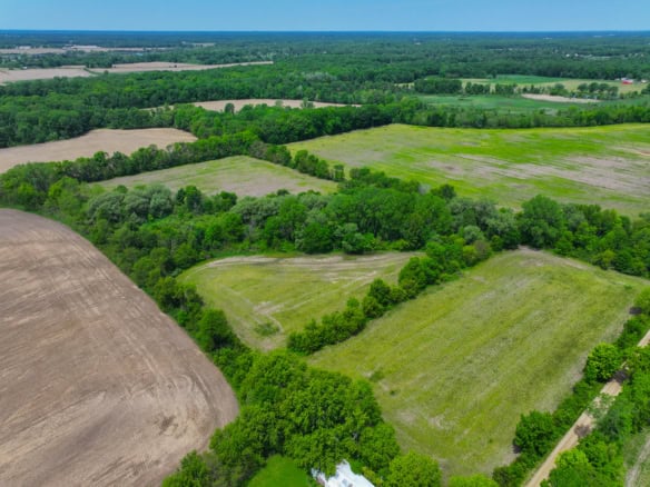 Calhoun County – 20+/- Acres