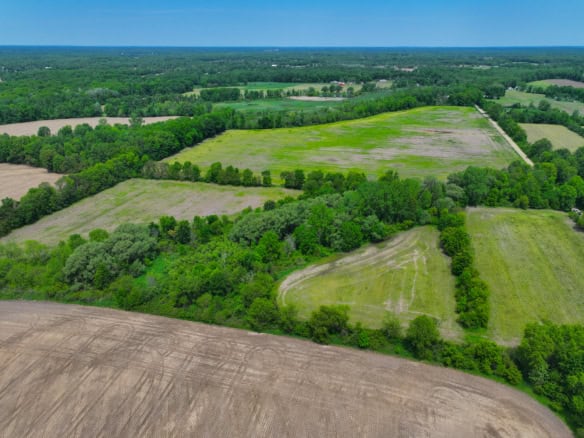 Calhoun County – 20+/- Acres