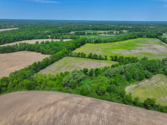 Calhoun County – 20+/- Acres